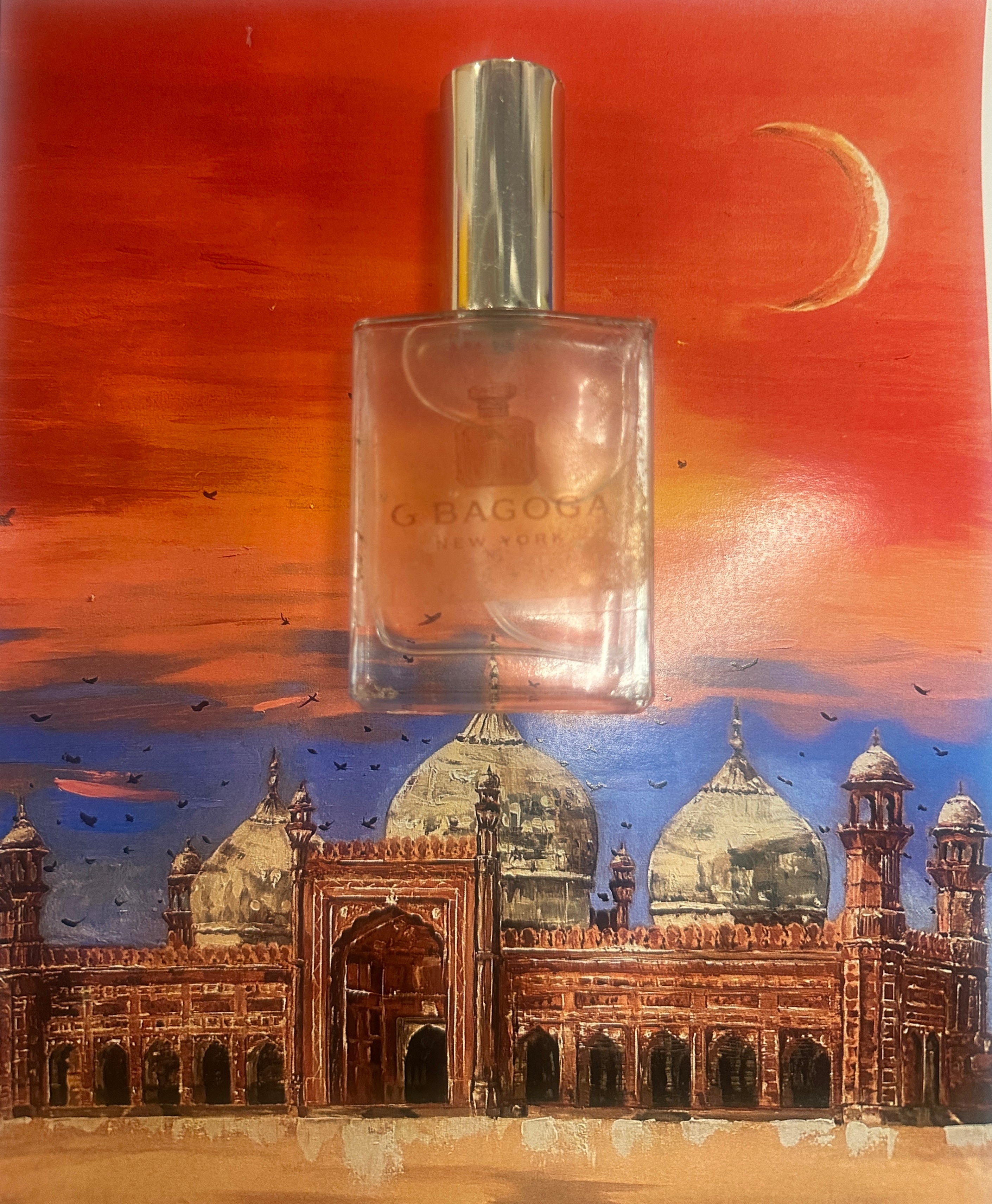 G Bagoga Ultra Instinct Goku Edition